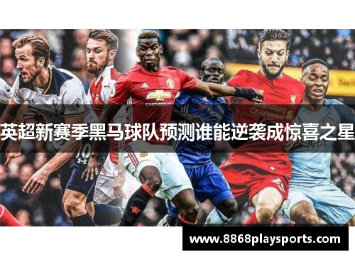 英超新赛季黑马球队预测谁能逆袭成惊喜之星