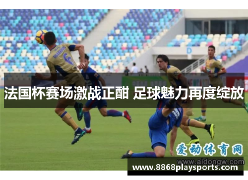 法国杯赛场激战正酣 足球魅力再度绽放